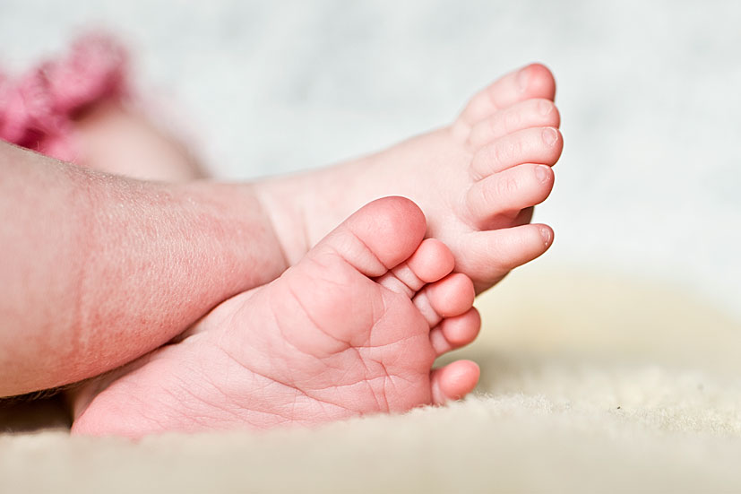 Elly_2